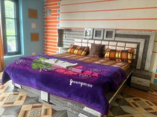 Magic View Guest House - Kasauli - 9