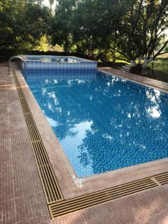 Gir Enjoy Forest Resort - Sasan Gir - 2