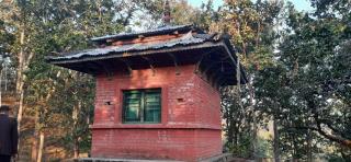 Coffee Farmstay in Tamang,Chepang Village Parewakot ,Chitwan - Debichaur - 5
