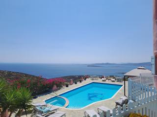 Dorothea Panoramic Villa - Kampos Paros - 9