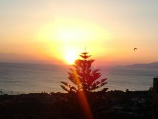 Hotel Villa Mare - 5