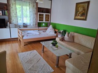 Maria's Ferienwohnung - Laakirchen - 5