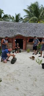 Poemanahere island camping à Maupiti - 6