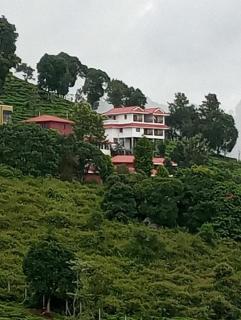 The Royale Ridge - Kotagiri - 0