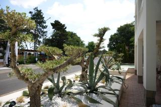 PARADISE Bay Hotel - Sosopol - 5