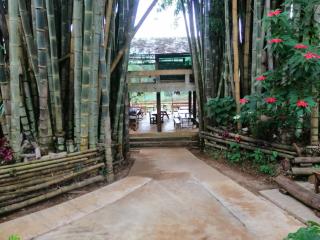 Palacoffeehouse ปางอุ๋ง - Ban Huai Makhuea Som - 1