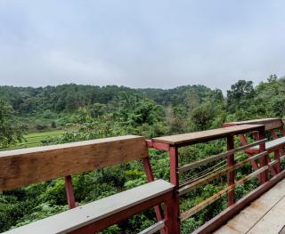Palacoffeehouse ปางอุ๋ง - Ban Huai Makhuea Som - 3