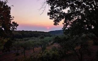 Trullocarluccio - 6