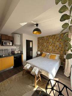 Roanne - Le studio 203 - Roanne - 7