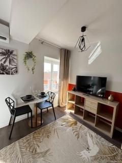 Roanne - Le studio 203 - Roanne - 2