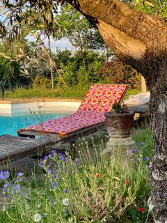 Domaine de la Serve - 2