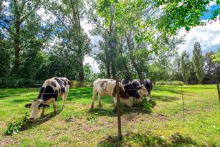 Sweet-Gerson, calme, proche gare, parking privé - 2