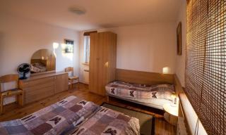 Gemütliche Ferienwohnung im Grünen am See - Dadaj - 4