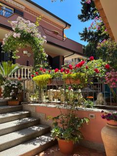 B&B Villa Regina - Santa Domenica - 4