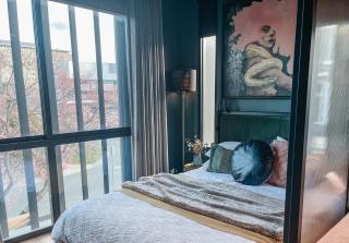 Green Rooms Braddon - Themed Micro Apartments in Canberra's Trendiest Neighborhood - - 1