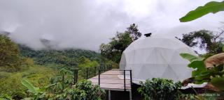 Hotel Rivel - Restaurant & Nature Retreat - Turrialba - 7