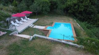 Villa Felix with spectacular pool in green oasis - Opatija - 3