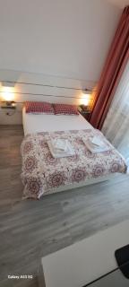 Silver Nest - Here you feel at home - Cluj-Napoca - 5