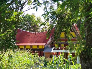 Cantik - Tuk Tuk - 6