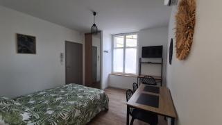 Studio Ludo 1, parking privé, wifi, climatisation, entrée autonome - Poitiers - 4