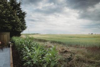 The Retreat- amazing scenic views of the Essex countryside! - - 8