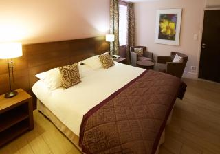 ALFRED HOTELS Beaune - Beaune - 7