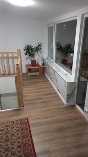 Dennis - Cluj-Napoca - 7