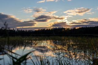 Perinnehirsitalo - 2