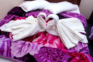 Sydney Rest - 3