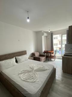 Rent Apartments Shengjin - 1