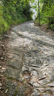 Climb to Paradise Ischia - solo per amanti del trekking - Ischia - 3
