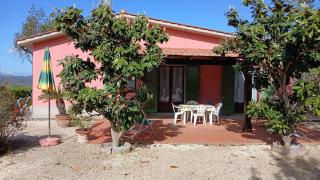 Ferienwohnung In Capoliveri Mit Schönem Garten - 9