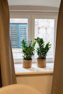 Velut Home Bokun - Dubrovnik - 6