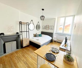 Les Jours Calmes, studio chaleureux - Limoges - 4