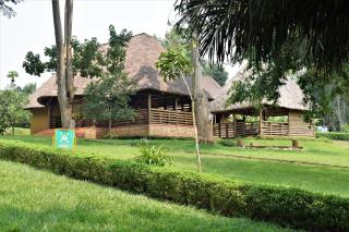 Kibale Guest Cottages - Fort Portal - 6