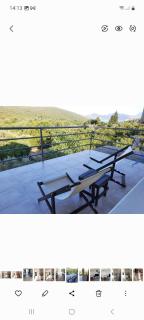 Apartman u zelenilu Bigove - Kotor (Cattaro) - 8