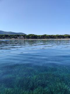 Holiday Homes Marina apartments - Punta Ala - 2