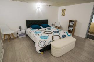 SPA hyper centre jardin - 7