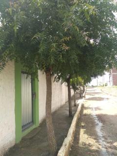 Darocha Hospedaria - Surubim - 3