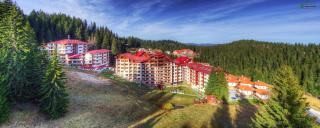 Aparthotel Forest Nook - 9