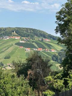 Ferienhaus Familie Lebbing - Bad Gleichenberg - 5