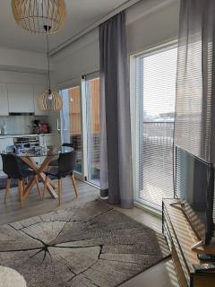 Top floor apartment rooftop - Oulu - 6