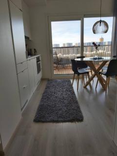 Top floor apartment rooftop - Oulu - 3