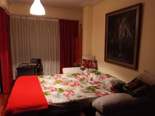 Piso zona Campus-Lagunas - Ourense - 1