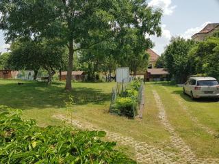 kemp -chatky-Doctor - 1