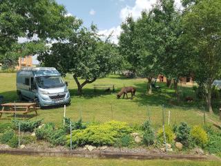 kemp -chatky-Doctor - 5