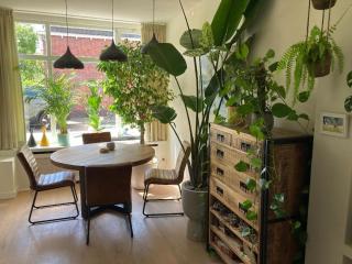 Charming little palace near the city center but only exactly bookable from 17 july till 27 july - Utrecht - 7