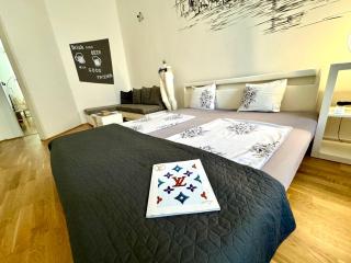 Fantastic apartment in the City Center - Prague - 8
