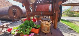 Cabana Ocna Mesaros - 1