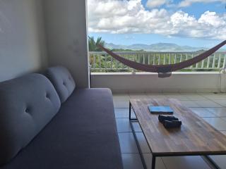 La plus belle vue de Ducos ! - 6